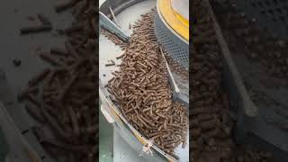 Wood pellet machine biomass pellet machine [upl. by Jordana114]