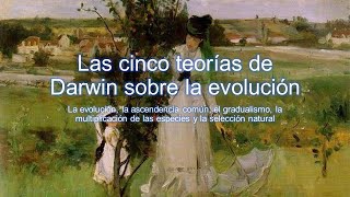 Las cinco teorías de Darwin sobre la evolución [upl. by Ahsiret]