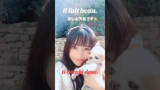 Français フランス語 日本語japonais JapanesewomenChihuahua JapaneseLanguage FrenchLanguage チワワ [upl. by Redle237]