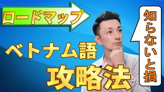 【最強ベトナム語勉強法】ベトナム語をマスターするためのロードマップ [upl. by Madonna]