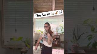 The Swan  SaintSaëns peacefulmusic [upl. by Erinn391]