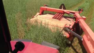 CaseIH 5140 pulling Kuhn FC 243 RTG Disc Mower Conditioner [upl. by Elvina361]