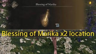 ELDEN RING dlc  Blessing of Marika location [upl. by Etnahsal677]