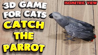 3D game for cats  CATCH THE PARROT isometric view  4K 60 fps stereo sound [upl. by Carissa]