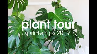 PLANT TOUR 🌿 Toutes mes plantes dintérieur – Printemps 2019 [upl. by Aleedis]