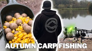 Will I Finally Catch An Autumn Carp At Fisherwick Lakes [upl. by Cogen]