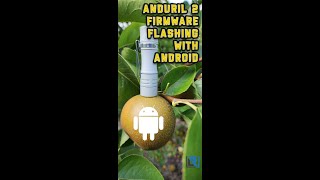 Flashing Firmware on the Wurkkos TS10 with Android [upl. by Cressy871]