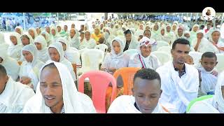 quotJAARTIIKOO FIDIIquot New Afaan Oromo Drama2022 [upl. by Nnednarb743]