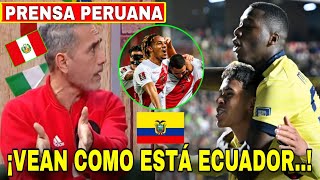 🇵🇪 quotPrensa Peruana HABLA del FUTBOL ECUATORIANOquot 🇪🇨 ECUADOR NOS HA SACADO LARGA VENTAJA [upl. by Anircam]