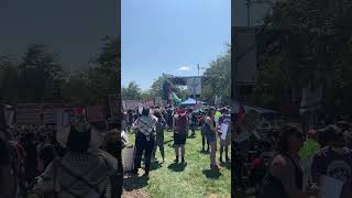 Protesters gather outside Democratic National Convention in Chicago [upl. by Carolus]