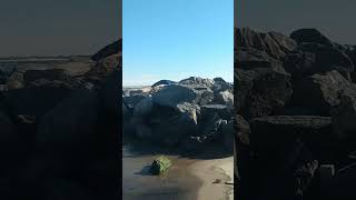 View of the ocean and a bird on the stones Manhattan Beach Brooklyn New York [upl. by Eddie301]