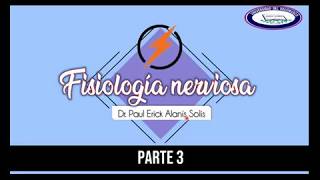 Fisiología Nerviosa 3  Sinapsis [upl. by Munmro371]