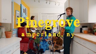 Pinegrove  quotAmperland NYquot  The Movie [upl. by Suirada]