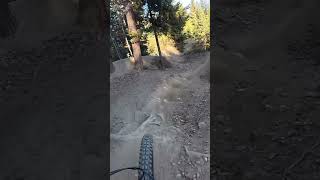 Wexl Trails mtb emtb emtb50 downhill [upl. by Lumpkin]