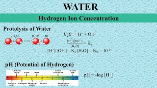 Hydrogen Ion Concentration Part 1 Protolysis of Water and pH [upl. by Yniattirb520]