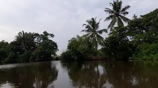 Bentota River Boat Safari best place to travel in the sri lanka [upl. by Aelegna]