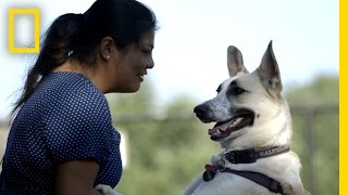 Whatever Happened to the Rescued Sochi Ten  National Geographic [upl. by Far171]