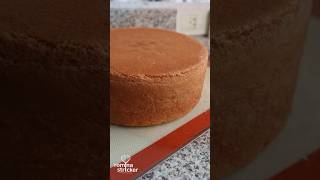 BIZCOCHUELO PERFECTO  COMO CORTARLO đź¤© recetas pasteleria recetasfaciles [upl. by Hpejsoj]