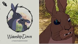 Watership Down 4K UHD Bluray Limited Edition review  BFI [upl. by Getraer]