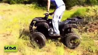 Tao Tao Rhino 250cc Utility ATV [upl. by Horn]