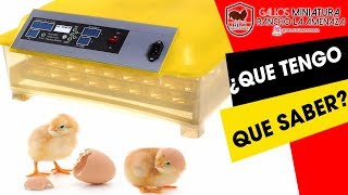 quotYa tenemos incubadoraquot Tutorial incubadora automatica Hdd 48 huevos [upl. by Imailiv987]