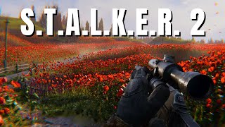 Why Stalker 2 Will be the Most Immersive Game youve Ever Played [upl. by Nospmoht]