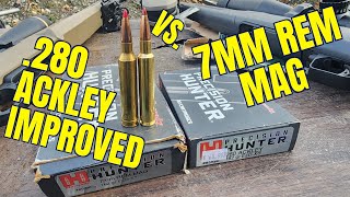 280 Ackley Improved vs 7mm Rem Mag ELDX Chronograph [upl. by Aljan496]