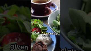 Experience the Flavors of Belgium Delicious Flemish Stew and Vegetarian Delights [upl. by Sybley]