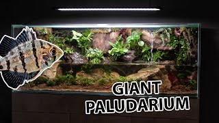 The ultimate paludarium  by aquacreate [upl. by Nyre]