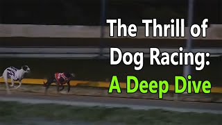 The Thrill of Dog Racing A Deep Dive [upl. by Call988]