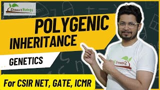 Polygenic inheritance CSIR NET  polygenic inheritance vs multiple alleles [upl. by Skier]