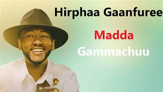 Hirphaa Gaanfuree Madda Gammachuu Oromo Music [upl. by Rolat339]