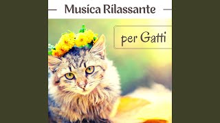 Musica rilassante per gatti [upl. by Amann]