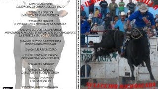 JARIPEOS EN MICHOACAN DICIEMBRE 2012 DVD1 [upl. by Floria160]