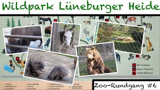 Wildpark Lüneburger Heide in HanstedtNindorf 2020 🐻  ZooRundgang 6 [upl. by Ailedroc824]