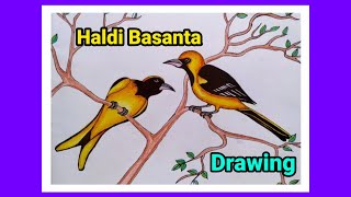 Haldi Basanta drawing [upl. by Atalaya505]