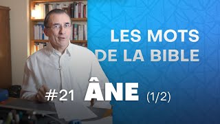 Pour lire la Bible suivez l’âne  Les mots de la Bible Ép 21 [upl. by Ioyal]