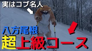 八方尾根スキー場の超上級コースを攻める！年末年始の様子をお届け。コブ斜面もあるよ！ [upl. by Atikihs181]