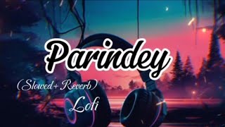 ParindeyB Praak official Audio Gippy Grewal Sargun Mehta Slowed and reverb [upl. by Donna723]