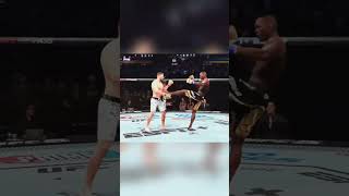 SPINNING BACK KICK KO [upl. by Annahtur]