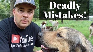 Top 3 DEADLIEST Mistakes New Goat Owners Make [upl. by Silenay]