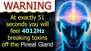 FULL PINEAL GLAND DETOX Youll Feel Better after 1 Listen [upl. by Nivrae800]