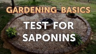 Test for Saponins [upl. by Lemaj]