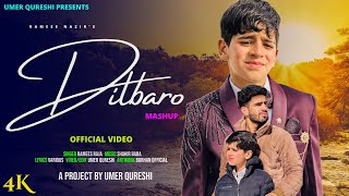 DILBARO  KASHMIRI SUPER HIT SONG  RAMEES NAZIR  UMER QURESHI SHAKIR BABA [upl. by Thisbee]