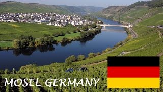 Mosel Wine tourism German Riesling Wine Moselle Valley Germany wines DeutschlandTourismus Travel [upl. by Ofori443]