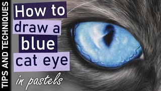 How to draw a blue cat eye in pastels  Tips for drawing fur in pastels [upl. by Patman928]