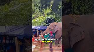 Gajah yang Membuka Jalan Bagi Semua Orang shorts story rojakchannel [upl. by Niemad]