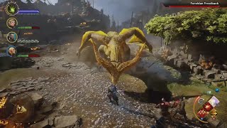 Dragon Age Inquisition  Fereldan Frostback Boss Fight NightmareAll Trials [upl. by Godderd]