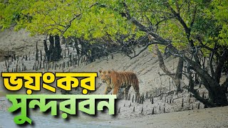 সুন্দরবন ভ্রমণের সবকিছু এক ভিডিওতে 🇧🇩 Worlds Largest Mangrove Forest  Sundarban Relax Trip 2023 [upl. by Percy]