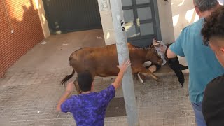 Segundo Día Puerto de Burriana  La Espuela  20 de Julio 2024 ✅ Viejas Glorias 🎉 [upl. by Magas]